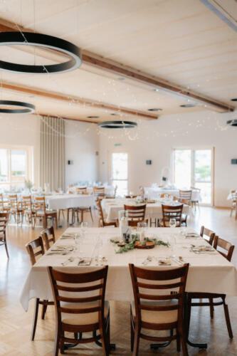 540709913 24520254067614859 8825802304268095270 n